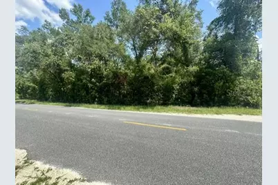 284th Street, Branford, FL 32008 - Photo 7