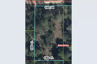000 NE 83rd Lane, Bronson, FL 32621 - Photo 3