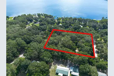 7517 NE 221st Street, Melrose, FL 32666 - Photo 3