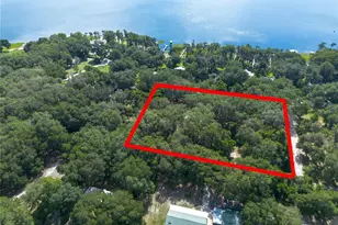 7517 NE 221st St, Melrose, FL 32666 - Photo 3