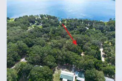 7517 NE 221st Street, Melrose, FL 32666 - Photo 3