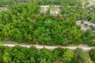 1671 NE 128th Ave, Williston, FL 32696 - Photo 1