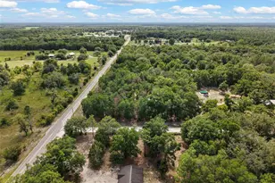 2298 NW 10th St, Bell, FL 32619 - Photo 35