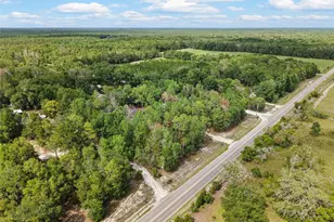 2298 NW 10th St, Bell, FL 32619 - Photo 39