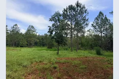 790 NW 42 Terrace, Chiefland, FL 32626 - Photo 43