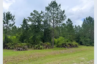 790 NW 42 Terrace, Chiefland, FL 32626 - Photo 29