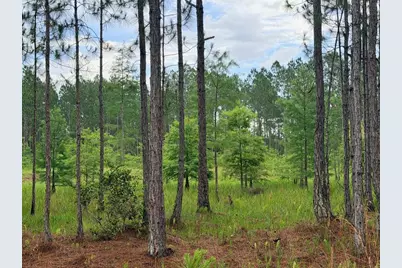 790 NW 42 Terrace, Chiefland, FL 32626 - Photo 3