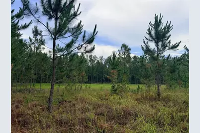 790 NW 42 Terrace, Chiefland, FL 32626 - Photo 35