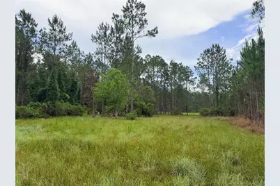 790 NW 42 Terrace, Chiefland, FL 32626 - Photo 33