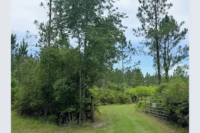 790 NW 42 Terrace, Chiefland, FL 32626 - Photo 31