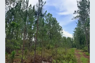 790 NW 42 Terrace, Chiefland, FL 32626 - Photo 41