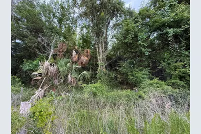 000 NW 68 Terrace, Chiefland, FL 32626 - Photo 33