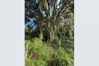 000 NW 68 Terrace, Chiefland, FL 32626 - Photo 5