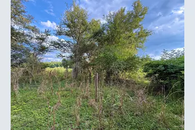 000 NW 68 Terrace, Chiefland, FL 32626 - Photo 17