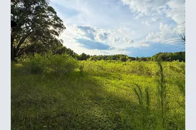 000 NW 68 Terrace, Chiefland, FL 32626 - Photo 3