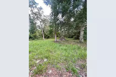 7181 NW 167th Place, Trenton, FL 32693 - Photo 25