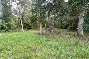 7181 NW 167th Pl, Trenton, FL 32693 - Photo 25