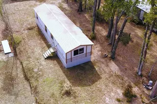 7809 SW 12th Pl, Bell, FL 32619 - Photo 3