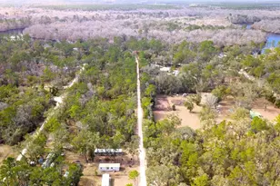 7809 SW 12th Pl, Bell, FL 32619 - Photo 15
