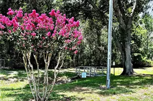 3764 NW 54th Ln, Gainesville, FL 32653 - Photo 25