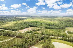 2362 NE County Road 1469, Hawthorne, FL 32640 - Photo 55