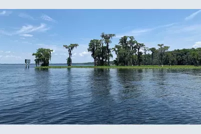 2362 NE County Road 1469, Hawthorne, FL 32640 - Photo 77