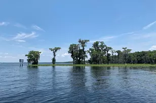 2362 NE County Road 1469, Hawthorne, FL 32640 - Photo 77