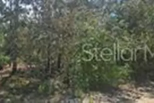 10451 NE 67th St, Bronson, FL 32621 - Photo 1