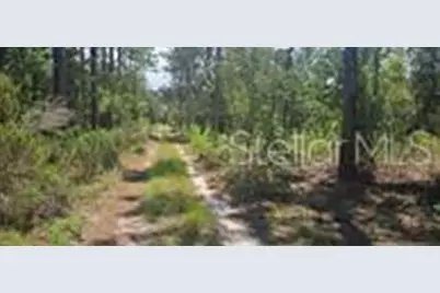 000 NE 67th Lane, Bronson, FL 32621 - Photo 3