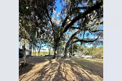 13565 NE 38th Avenue, Anthony, FL 32617 - Photo 25