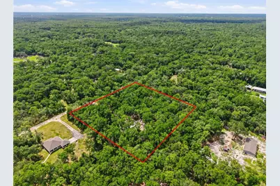 Lot 4 NW 78th Avenue, Chiefland, FL 32626 - Photo 11