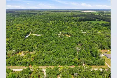 Lot 4 NW 78th Avenue, Chiefland, FL 32626 - Photo 19