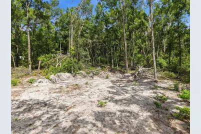 Lot 4 NW 78th Avenue, Chiefland, FL 32626 - Photo 5