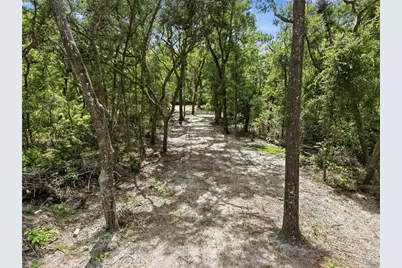 Lot 4 NW 78th Avenue, Chiefland, FL 32626 - Photo 3