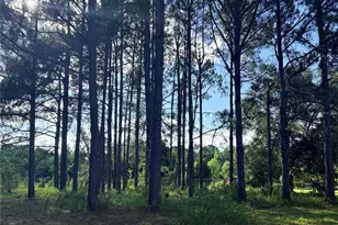 259 S E Rattler Ct, High Springs, FL 32643 - Photo 35