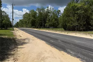 11160 NW 5th Ave, Branford, FL 32008 - Photo 53