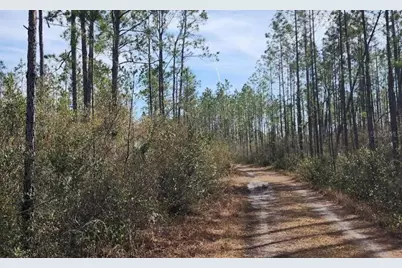 Tbd Rock Island Road, Perry, FL 32347 - Photo 3