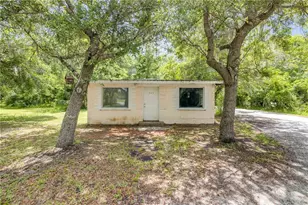 227 N Samsula Dr, New Smyrna Beach, FL 32168 - Photo 35