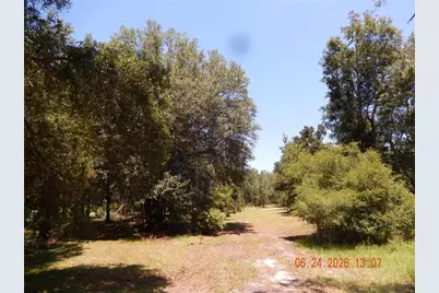 761 SW Sunview Street, Fort White, FL 32038 - Photo 5