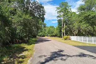 8213 Riverview Rd, Fanning Springs, FL 32693 - Photo 53