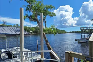 8213 Riverview Rd, Fanning Springs, FL 32693 - Photo 41