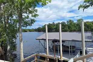 8213 Riverview Rd, Fanning Springs, FL 32693 - Photo 39