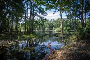 5278 SW County Rd 138, Fort White, FL 32038 - Photo 93