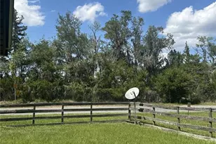 317 NE 4 Ave, Williston, FL 32696 - Photo 47