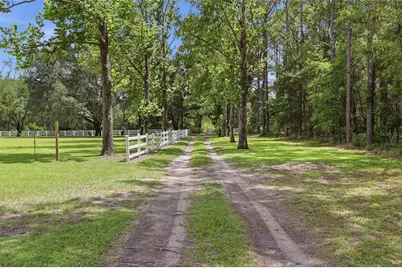 16310 NW 40th Place, Newberry, FL 32669 - Photo 3