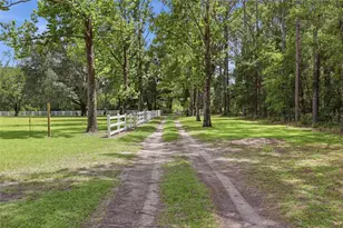 16310 NW 40th Pl, Newberry, FL 32669 - Photo 3