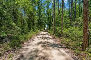 357 SW Conestoga Way, Fort White, FL 32038 - Photo 49
