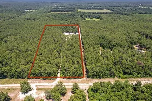 357 SW Conestoga Way, Fort White, FL 32038 - Photo 51