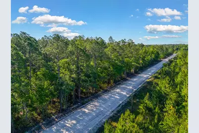 Sw 126th Ave, Lake Butler, Lake Butler, FL 32054 - Photo 3