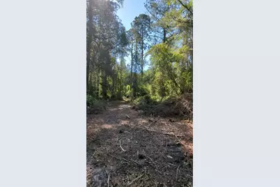 Sw 126th Ave, Lake Butler, Lake Butler, FL 32054 - Photo 5